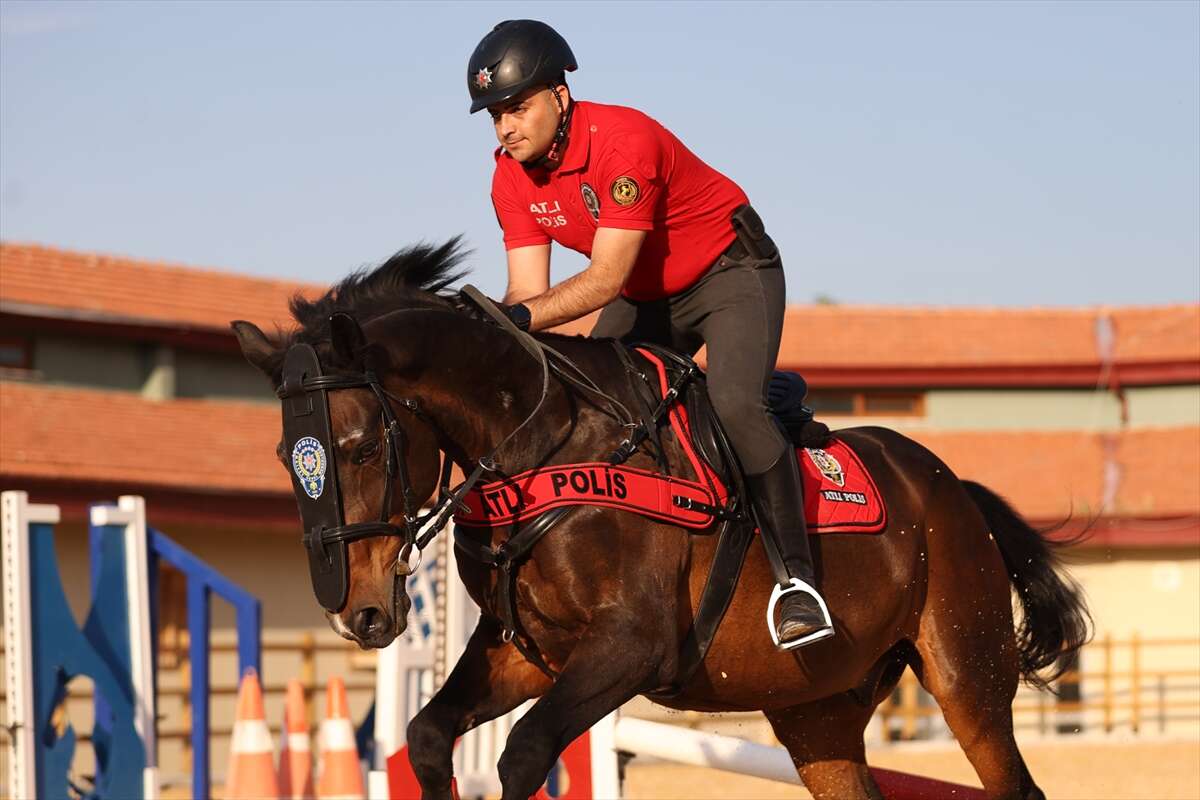 Konya sokaklarının "heybetli" devriyeleri! 4 aylık zorlu eğitimle hazırlanıyorlar 7